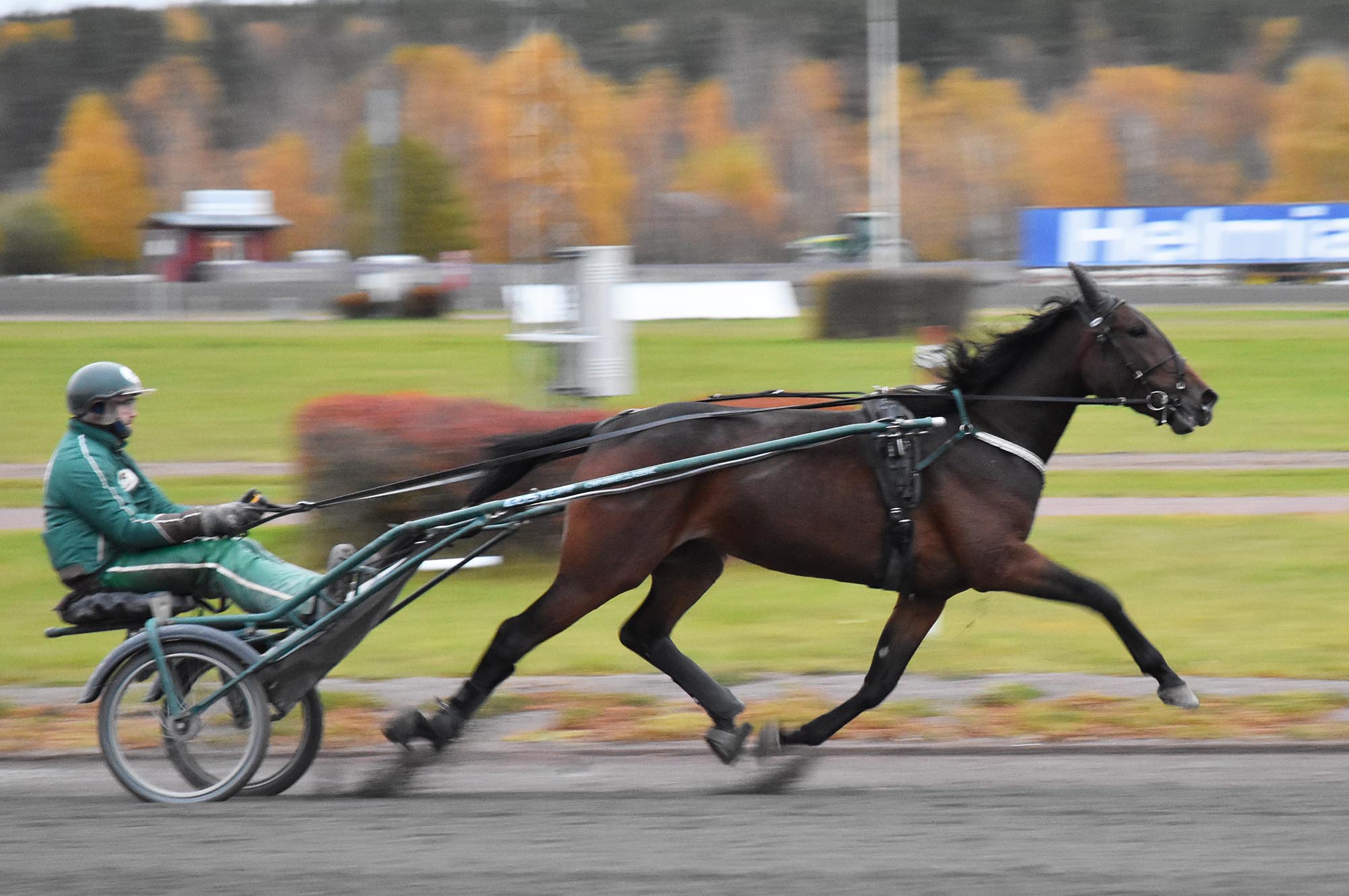 G.B.G Postponed med sin skötare Reko Seppä sträcker ut i banjobb på hemmabanan Färjestad. Foto: A.Lindblom